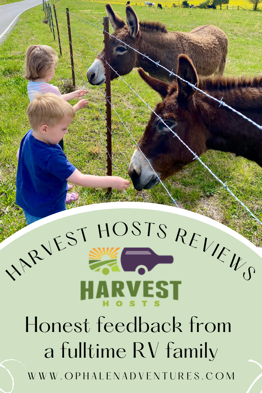 Harvest Hosts reviews, two kids feeding donkeys | O'Phalen Adventures