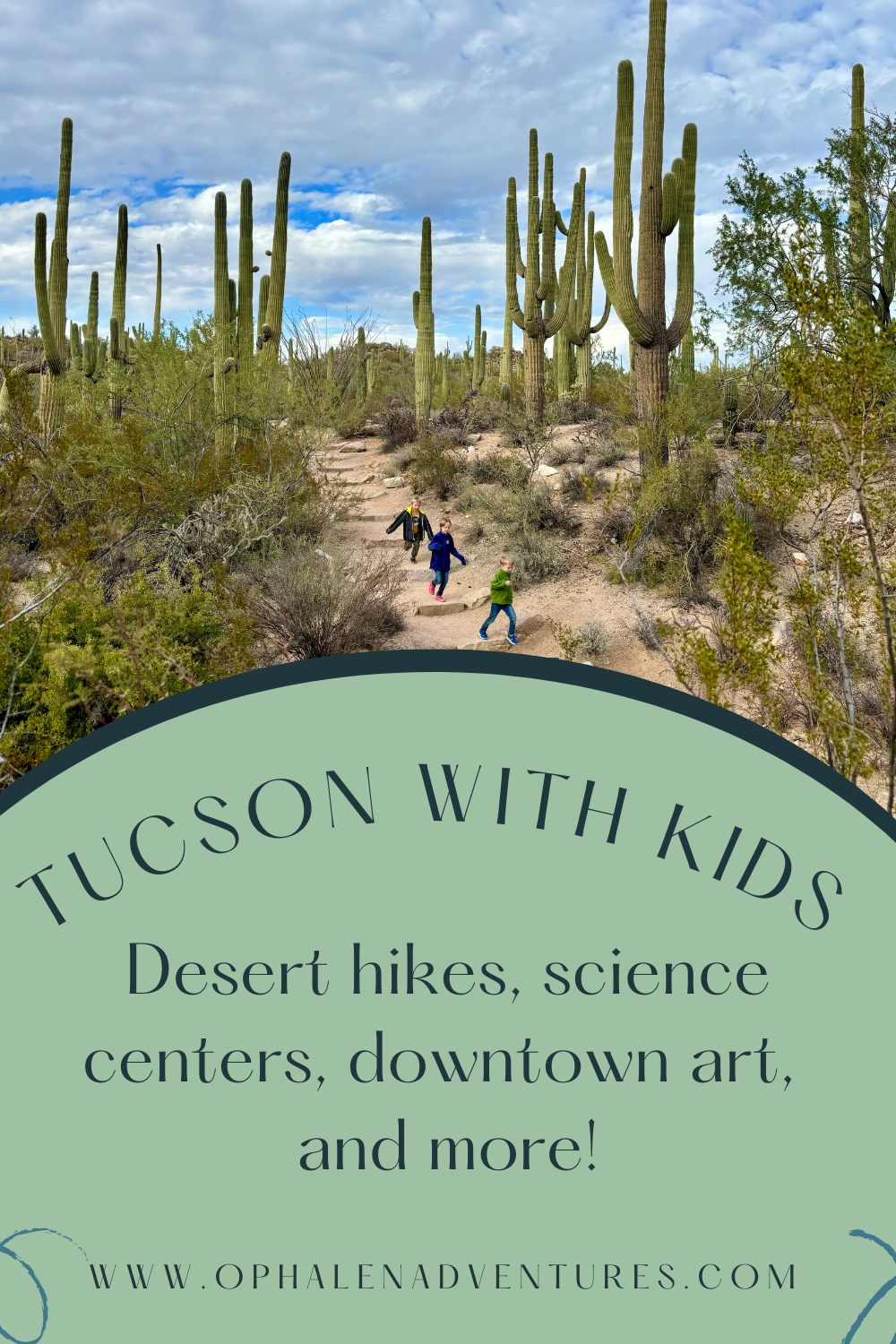 Things to do in Tucson with kids, children hiking with Saguaro cacti | O'Phalen Adventures